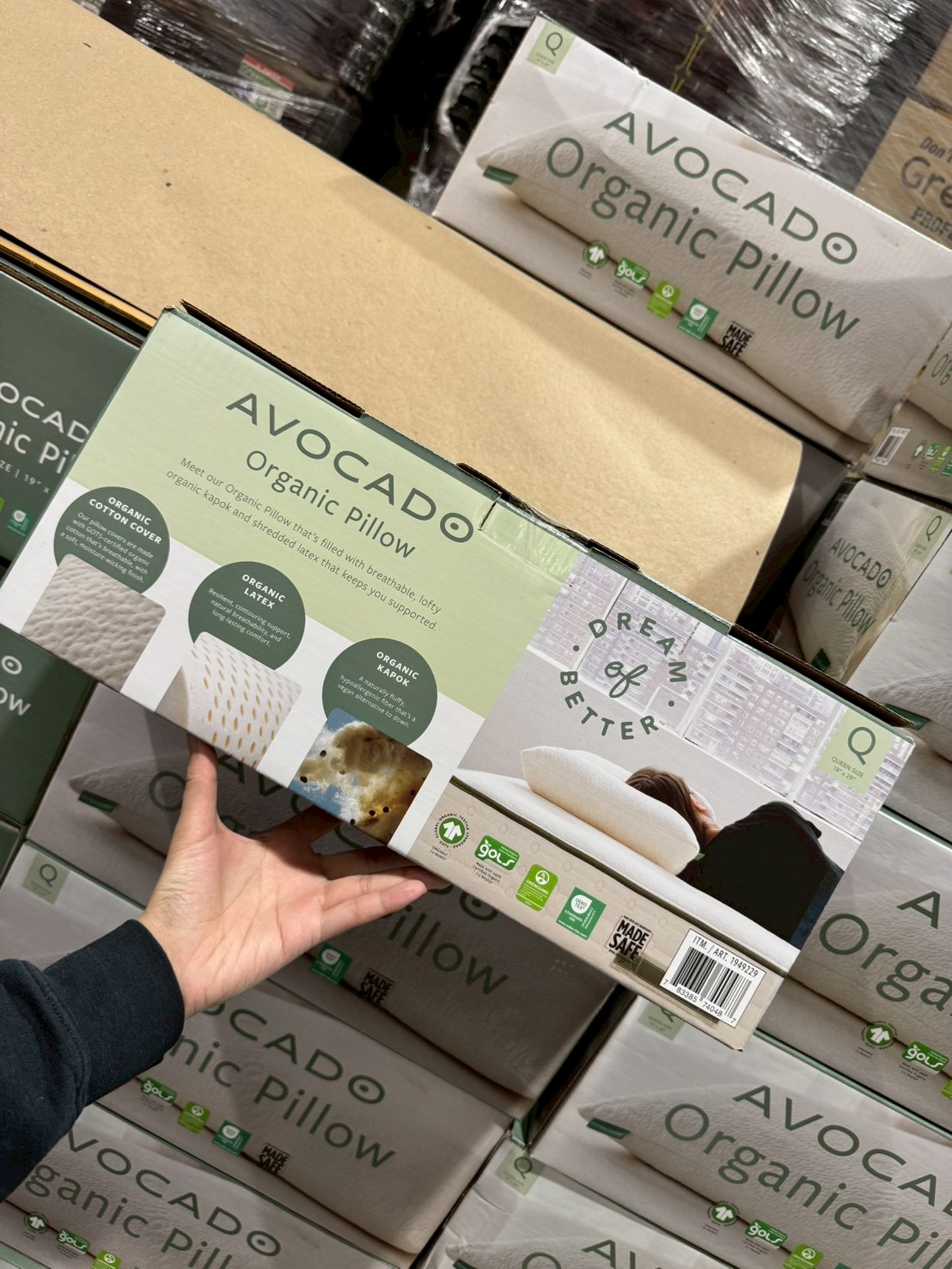 AVOCADO 有機枕頭