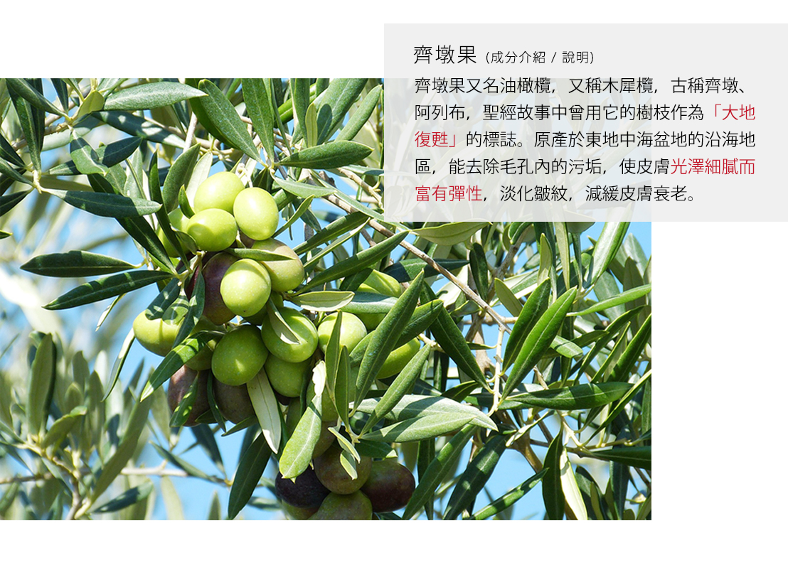 bevyc,妝前保養,妝前保濕,妝前打底,精華液,妝前乳,抗老,皺紋,撫紋,修護,凍齡,v臉,逆齡,抗皺,冬眠,老化,人蔘,抗老推薦,回春,提拉,彈潤,眼霜推薦,敏弱肌,術後,脫妝,出油,持妝,卡粉,反黑 bevyc,妝前保養,妝前保濕,妝前打底,精華液,妝前乳,抗老,皺紋,撫紋,修護,凍齡,v臉,逆齡,抗皺,冬眠,老化,人蔘,抗老推薦,回春,提拉,彈潤,眼霜推薦,敏弱肌,術後,脫妝,出油,持妝,卡粉,反黑