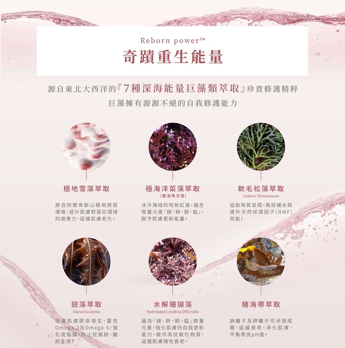 bevyc,妝前保養,妝前保濕,妝前打底,精華液,妝前乳,抗老,皺紋,撫紋,修護,凍齡,v臉,逆齡,抗皺,冬眠,老化,人蔘,抗老推薦,回春,提拉,彈潤,眼霜推薦,敏弱肌,術後,脫妝,出油,持妝,卡粉,反黑 bevyc,妝前保養,妝前保濕,妝前打底,精華液,妝前乳,抗老,皺紋,撫紋,修護,凍齡,v臉,逆齡,抗皺,冬眠,老化,人蔘,抗老推薦,回春,提拉,彈潤,眼霜推薦,敏弱肌,術後,脫妝,出油,持妝,卡粉,反黑