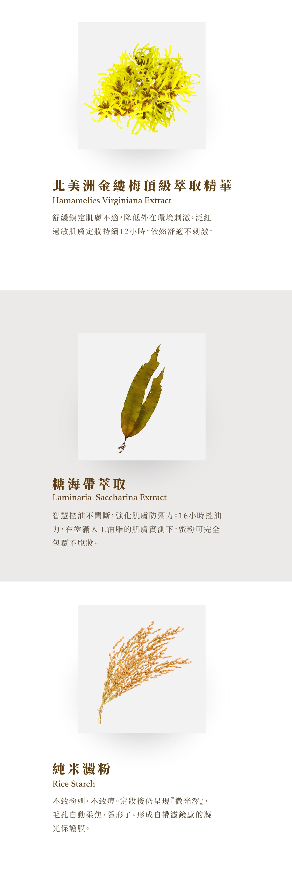bevyc,妝前保養,妝前保濕,妝前打底,定妝,蜜粉刷,舒緩,零粉感,控油,超持久,不暗沉,空氣感,透明蜜粉,遮瑕,柔焦,清透,敏弱肌,脫妝,出油,持妝,卡粉 bevyc,妝前保養,妝前保濕,妝前打底,定妝,蜜粉刷,舒緩,零粉感,控油,超持久,不暗沉,空氣感,透明蜜粉,遮瑕,柔焦,清透,敏弱肌,脫妝,出油,持妝,卡粉