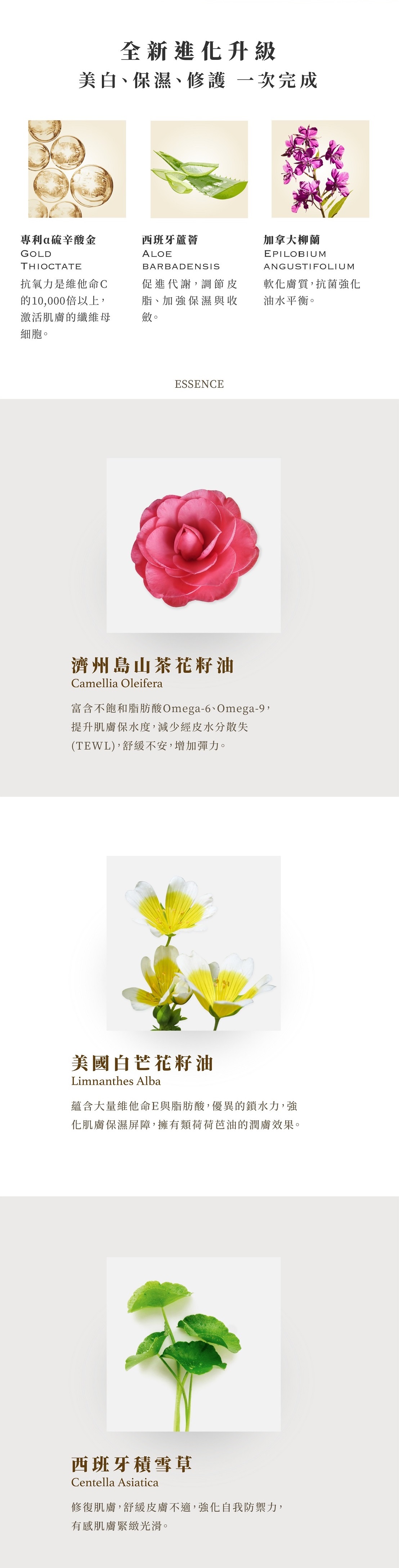 bevyc,妝前保濕,妝前保養,妝前打底,保濕,美白,淡疤,淡斑,亮白,無酒精,不反黑,妝前乳,primer,精華液,敏弱肌,脫妝,出油,持妝,卡粉,反黑 bevyc,妝前保養,妝前保濕,妝前打底,精華液,妝前乳,保濕,美白,淡疤,淡斑,亮白,無酒精,不反黑,primer,敏弱肌,脫妝,出油,持妝,卡粉,反黑